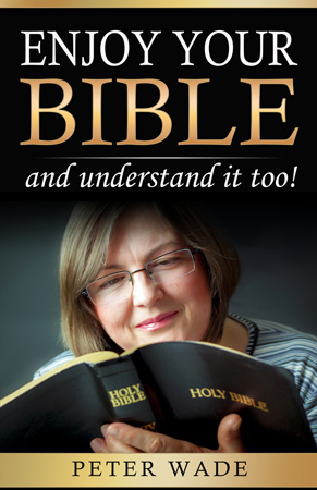 Enjoy Your Bible cover